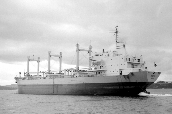 Cigoitia by F. Estrañi Cigoitia por F. Estrañi